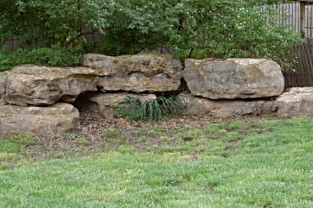 Rocks in Back Yard 2 Web